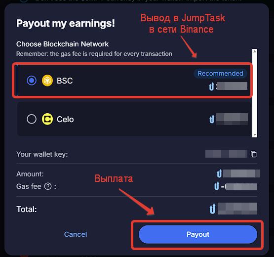 Окно Payout: выбор сети BSC и кнопка Payout